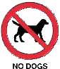 No dog/cat